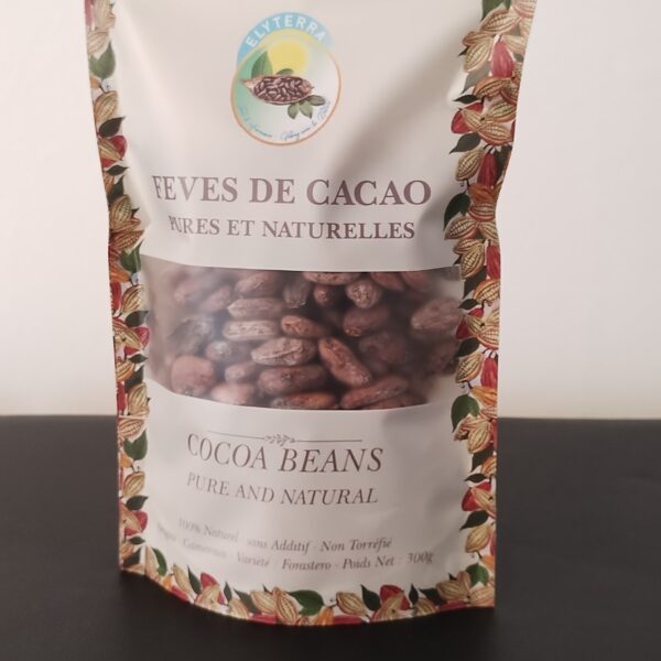 Fèves de Cacao Pures et Naturelles – ELYTERRA